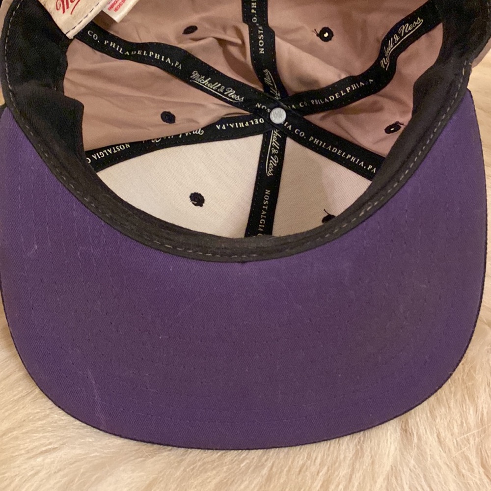 Toronto Raptors Snapback Cap hat - Picture 10 of 14